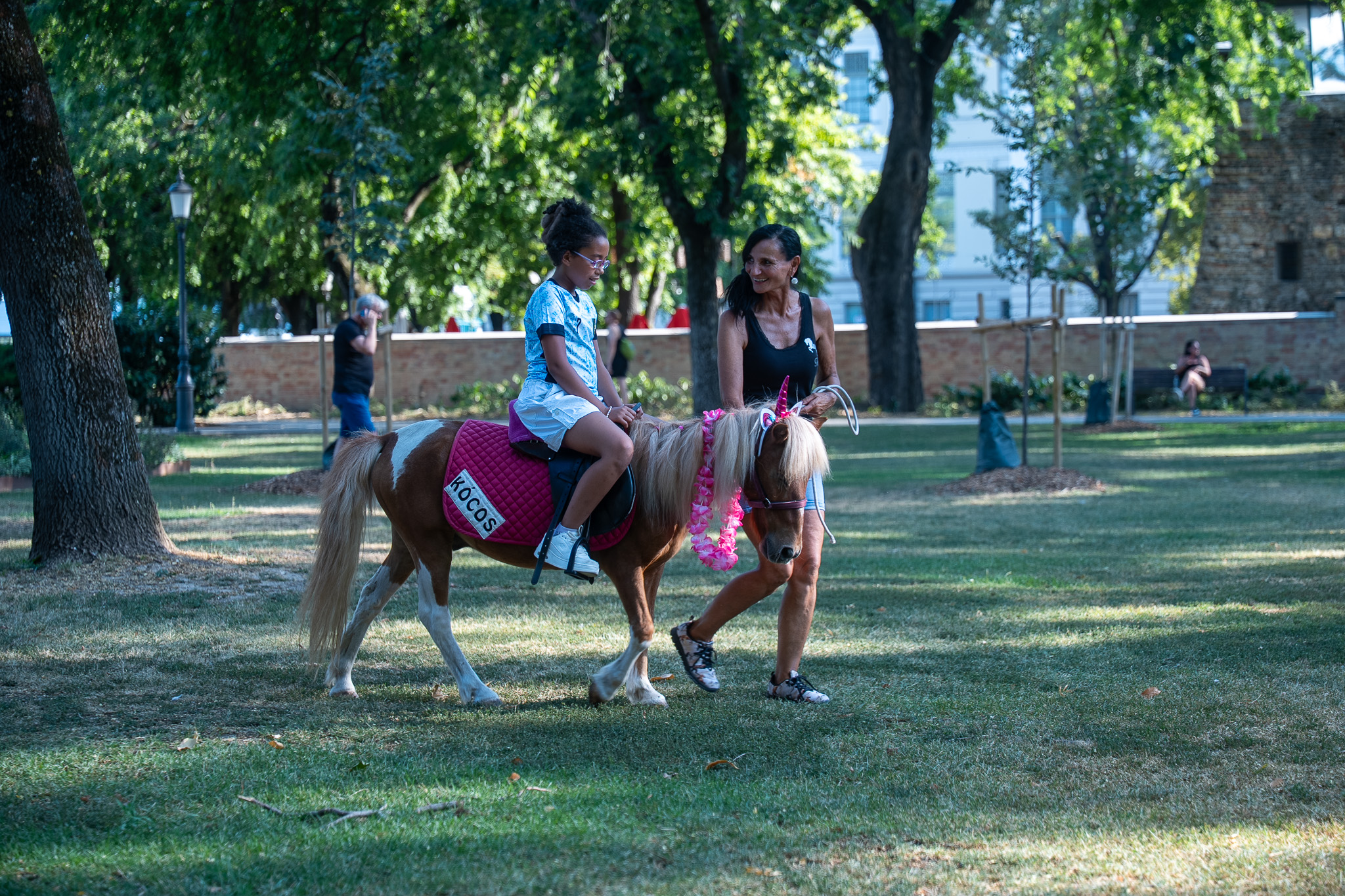 Bibliapark Szegeden