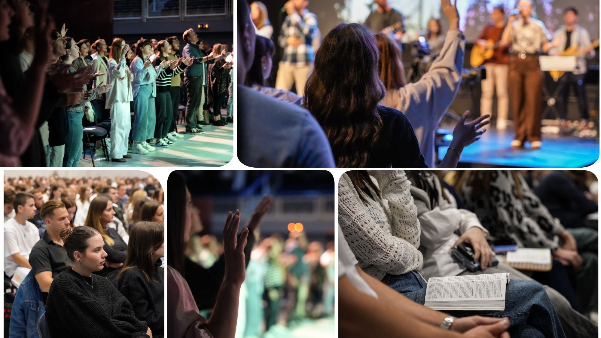 Közösségi Nap a Hit Parkban